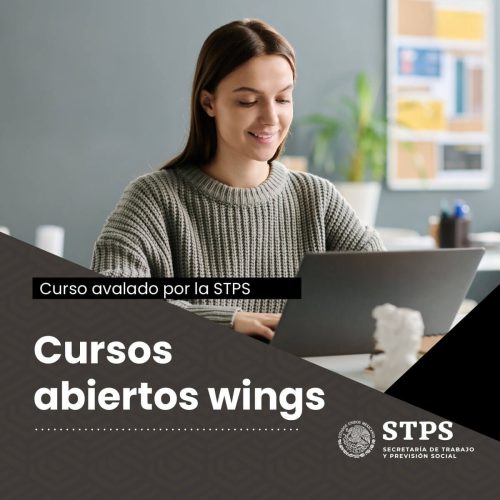 Curso para grupo Wings E-Training