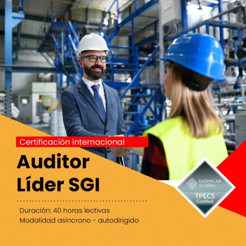 Certificación Auditor Líder ISO Sistemas de Gestión Integrado